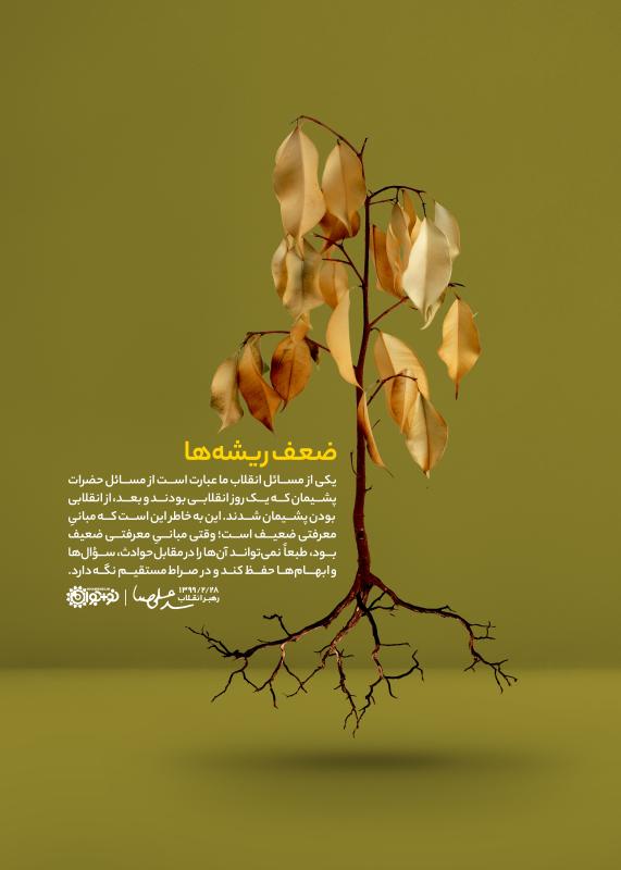 ضعف ریشه‌ها